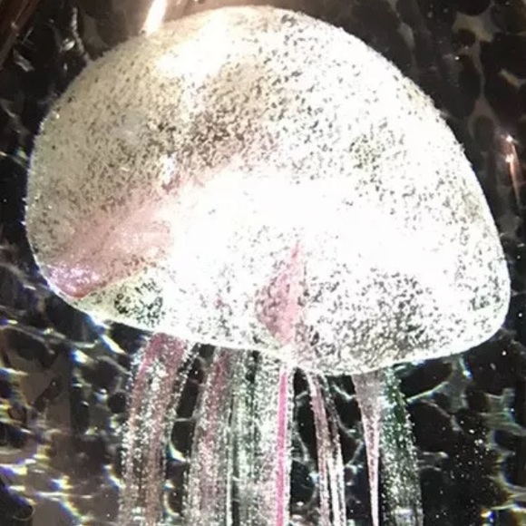 Glass jellyfishMoon Jellyfish Paperweight Murano Hand Blown Glass Art ~ Sea Life - Picture 2 of 3